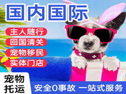 滋润航空邮寄国际宠物托运 【国